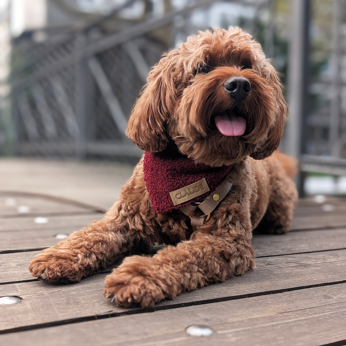 Hundehalstuch "Bloomberry"