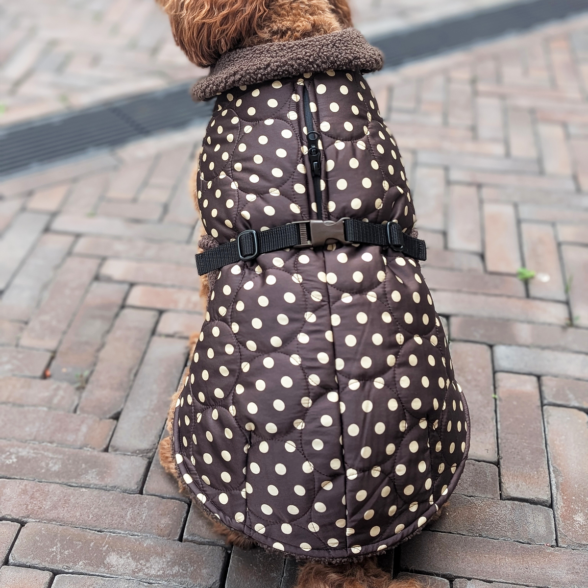 Hundemantel "Marron On Point"