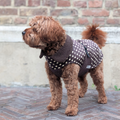 Hundemantel "Marron On Point"