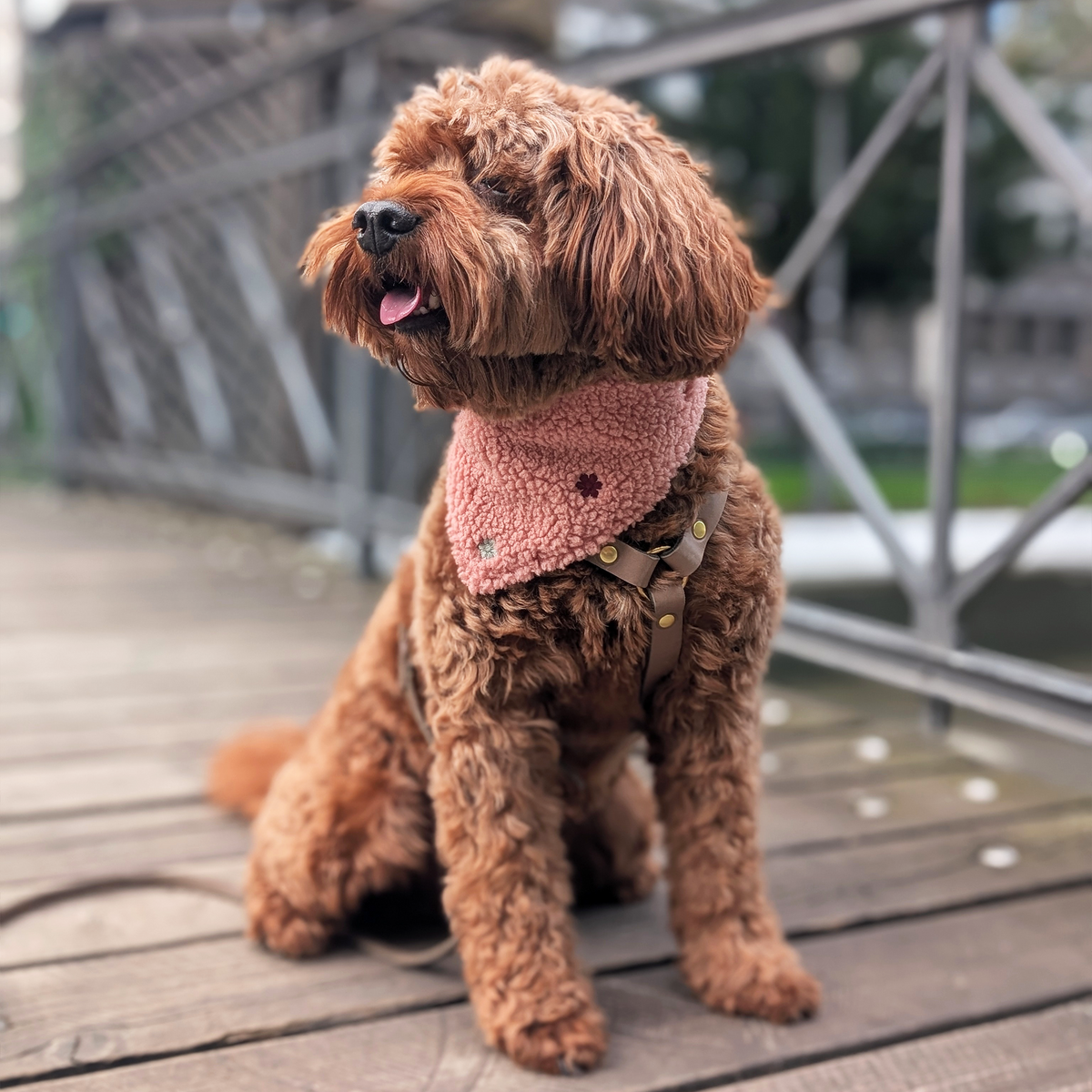Hundehalstuch "Vintage Meadow"
