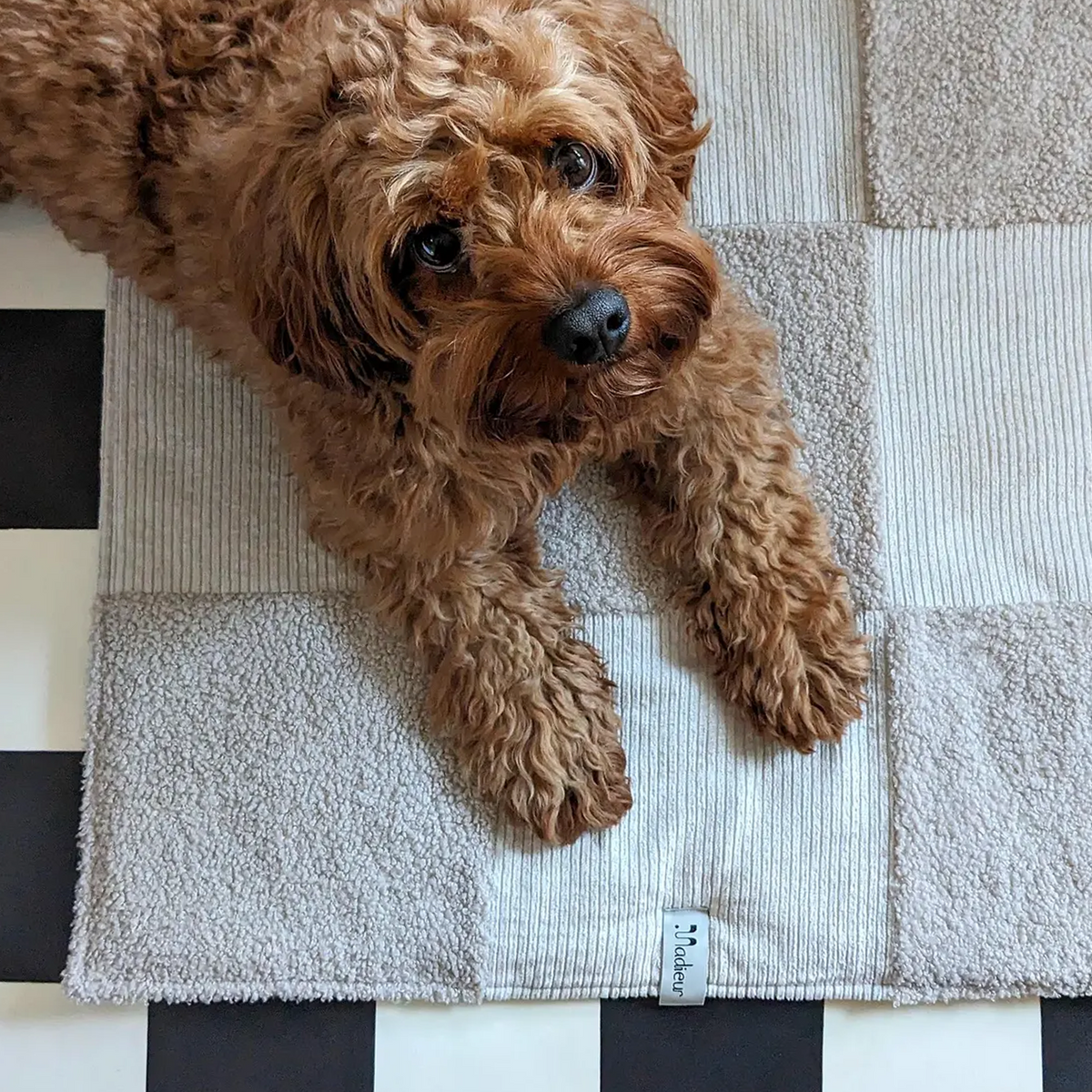 Plaid "Check-Plaid" Creme