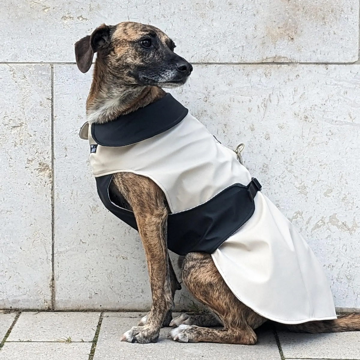 Regenmantel "Coco" Creme mit Schwarz