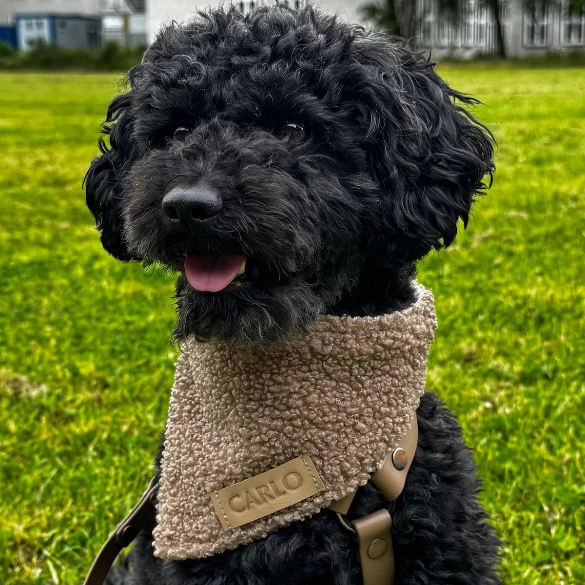 Hundehalstuch "Cozylight"