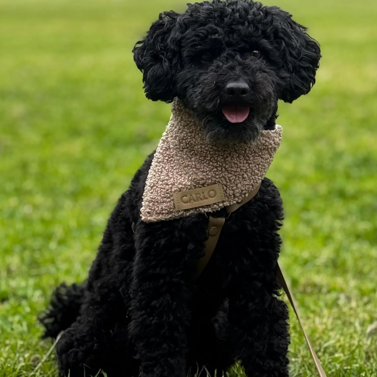 Hundehalstuch "Cozylight"