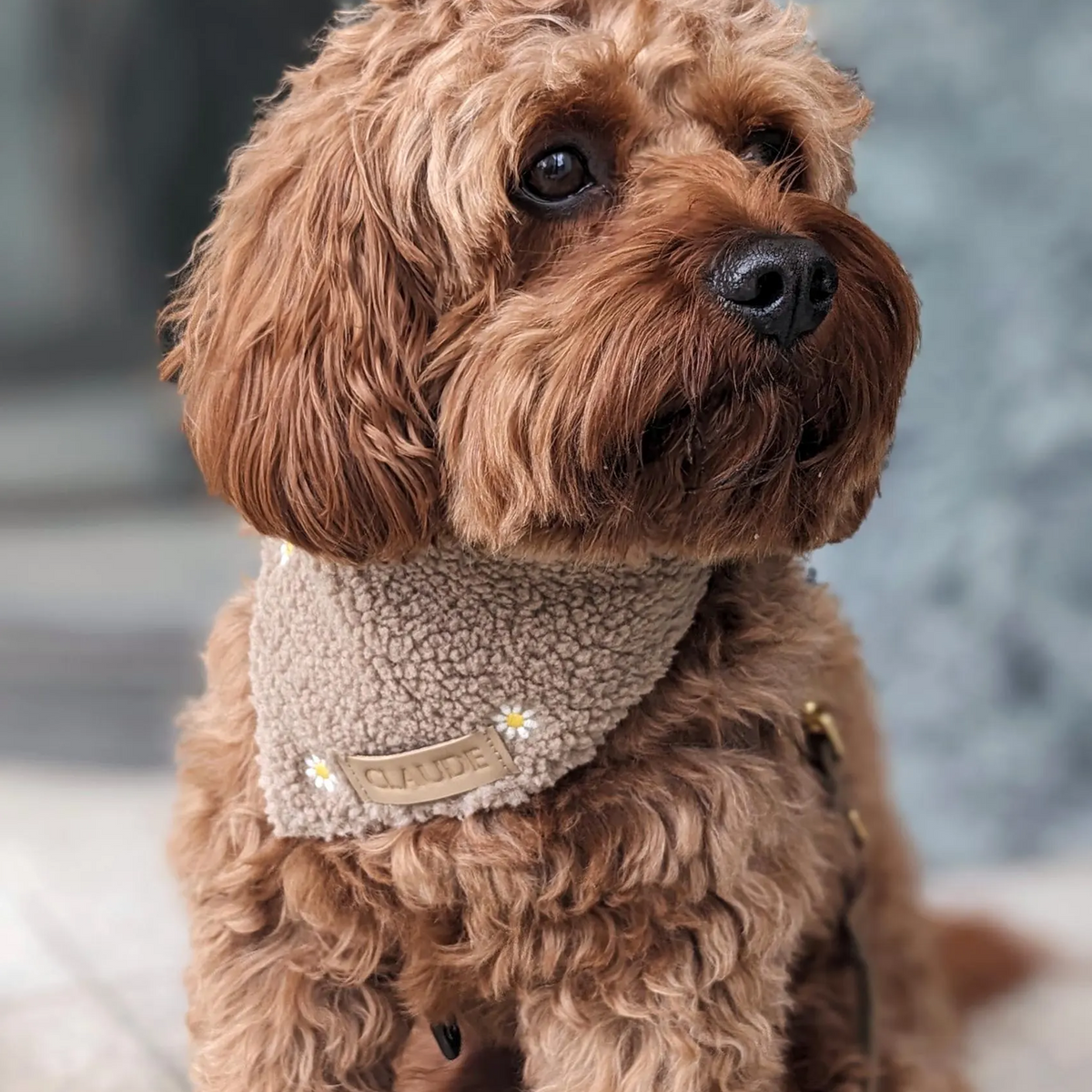 Hundehalstuch "Flower Fields" Taupe