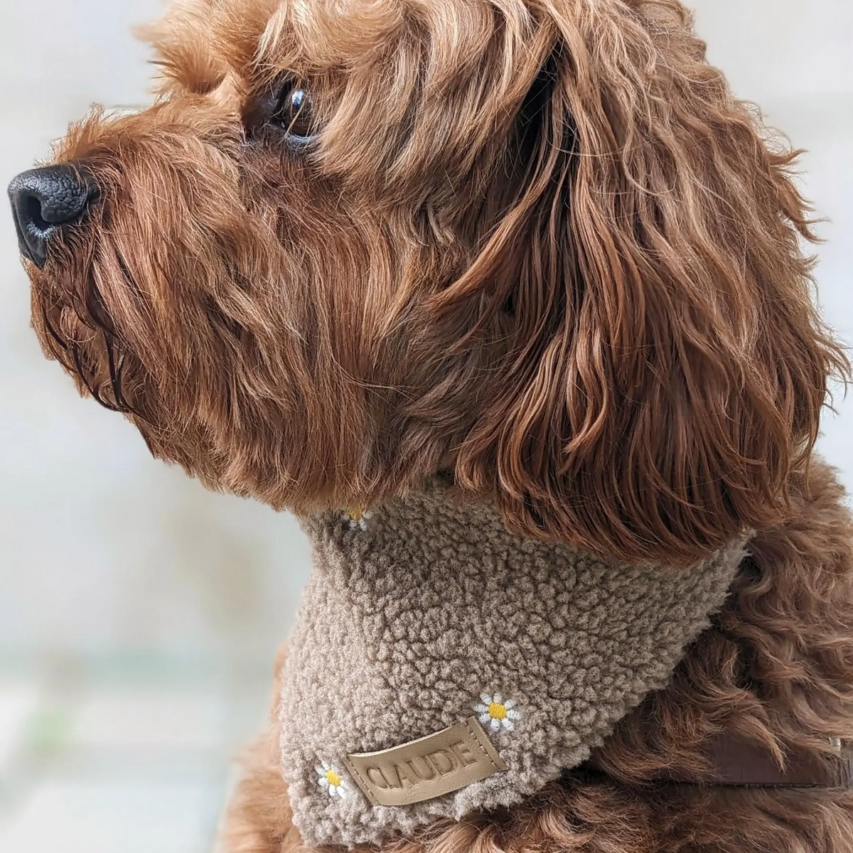 Hundehalstuch "Flower Fields" Taupe