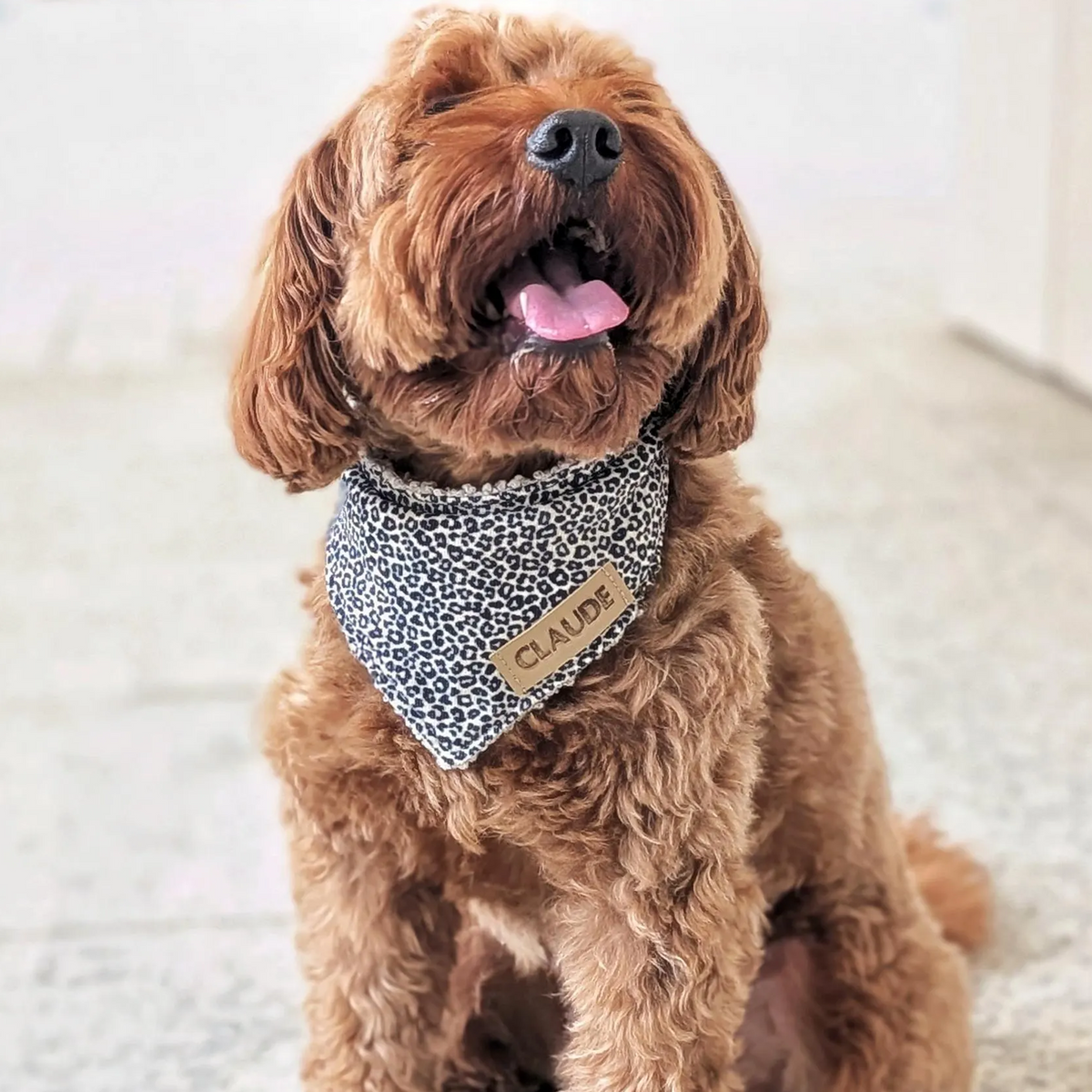 Hundehalstuch "Leora"