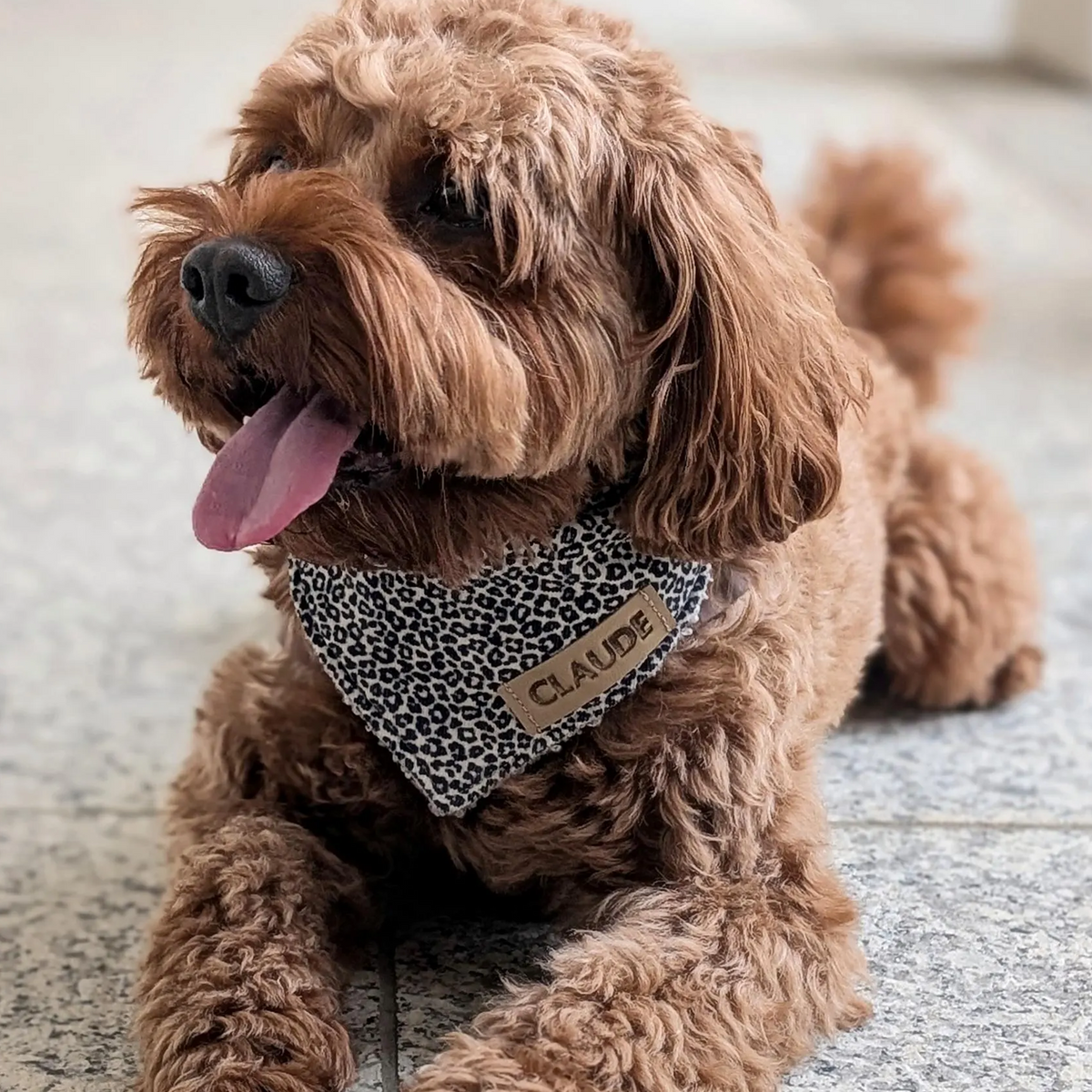 Hundehalstuch "Leora"