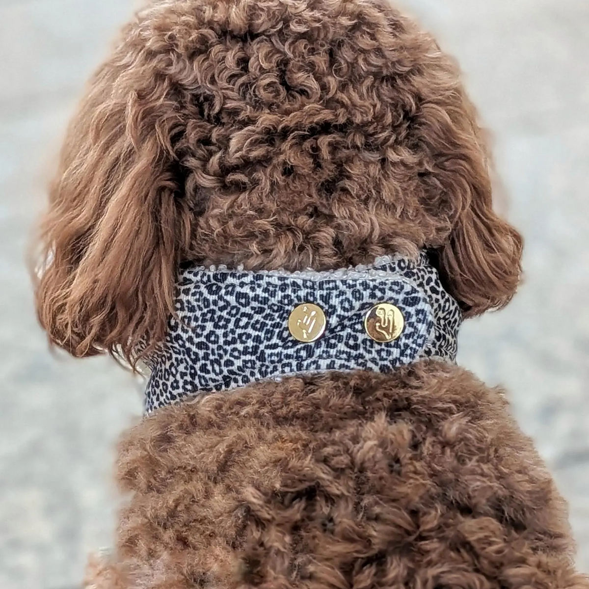 Hundehalstuch "Leora"