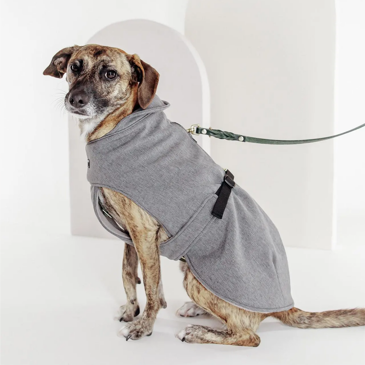 Hundemantel "Petrichor" Grau