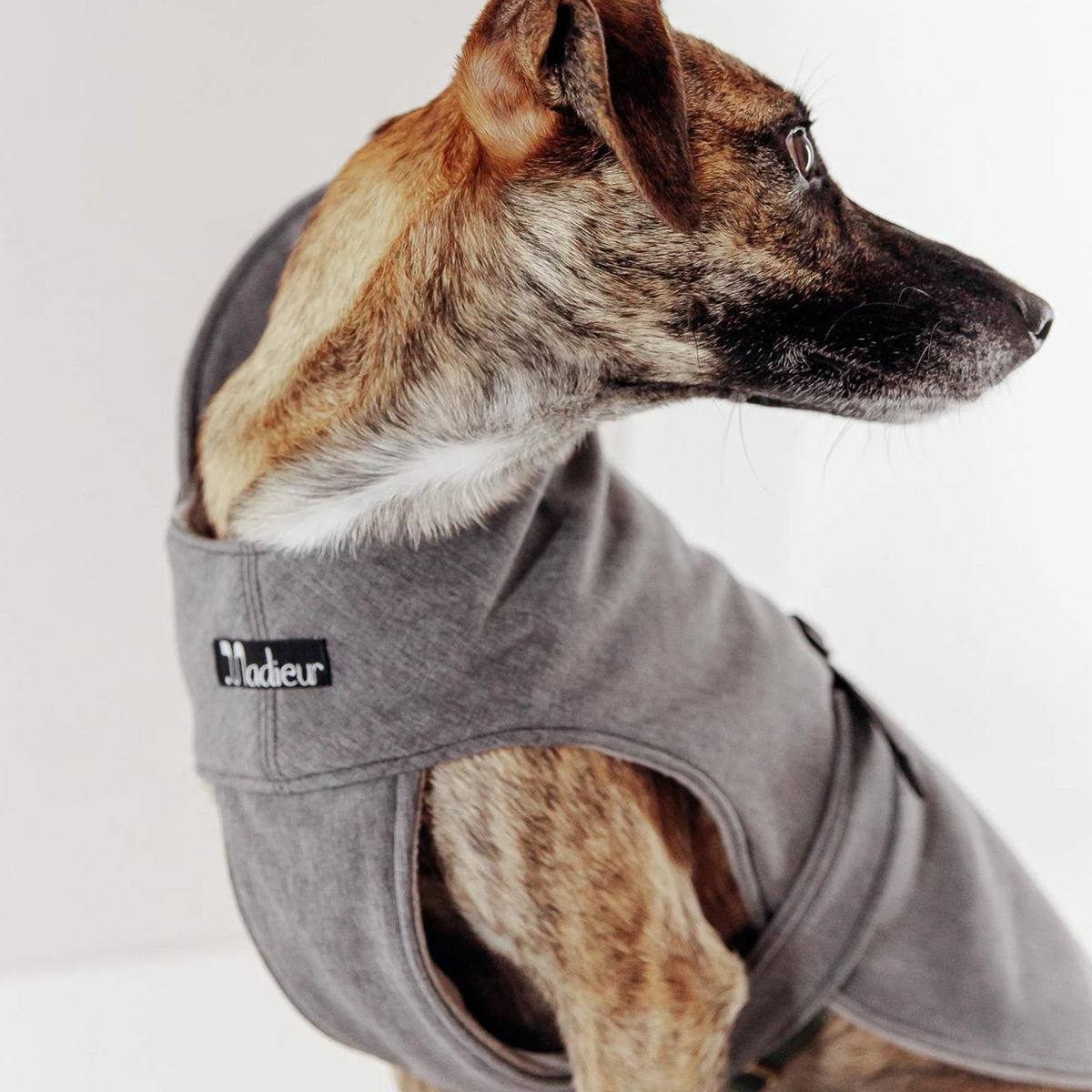 Hundemantel "Petrichor" Grau