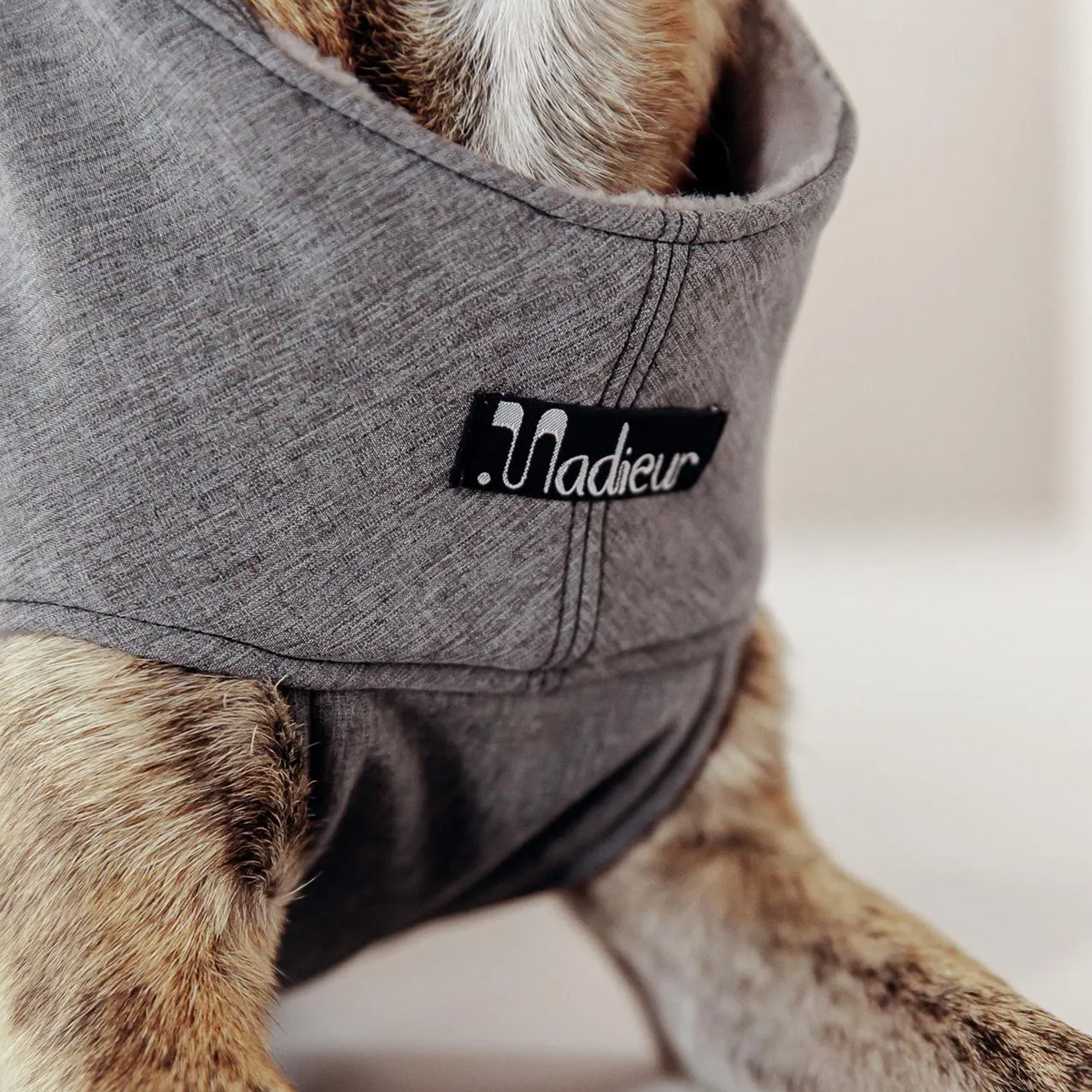 Hundemantel "Petrichor" Grau