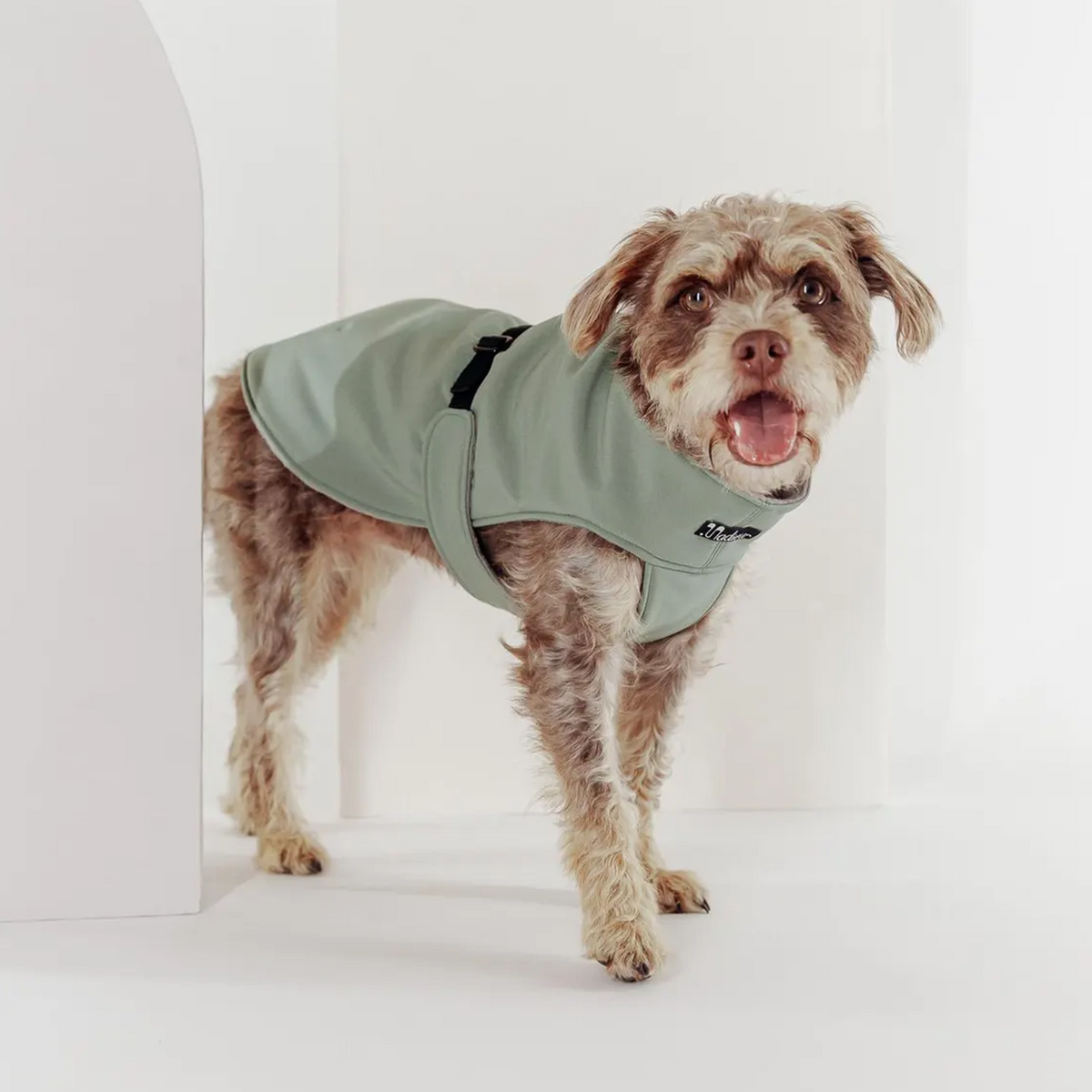 Hundemantel "Petrichor" Oliv