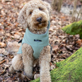 Hundemantel "Petrichor" Oliv