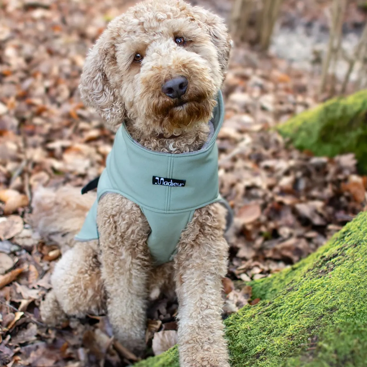 Hundemantel "Petrichor" Oliv