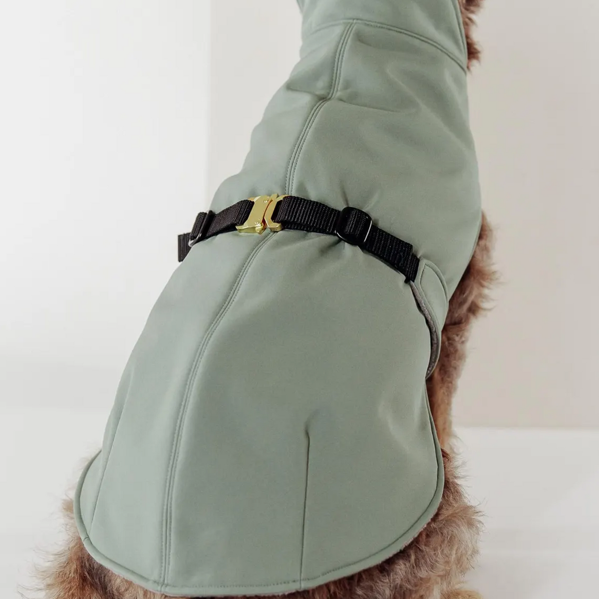 Hundemantel "Petrichor" Oliv