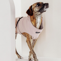 Hundemantel "Petrichor" Rosa