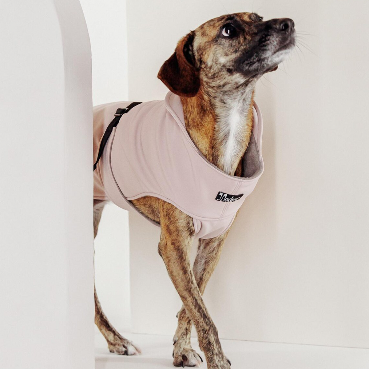 Hundemantel "Petrichor" Rosa