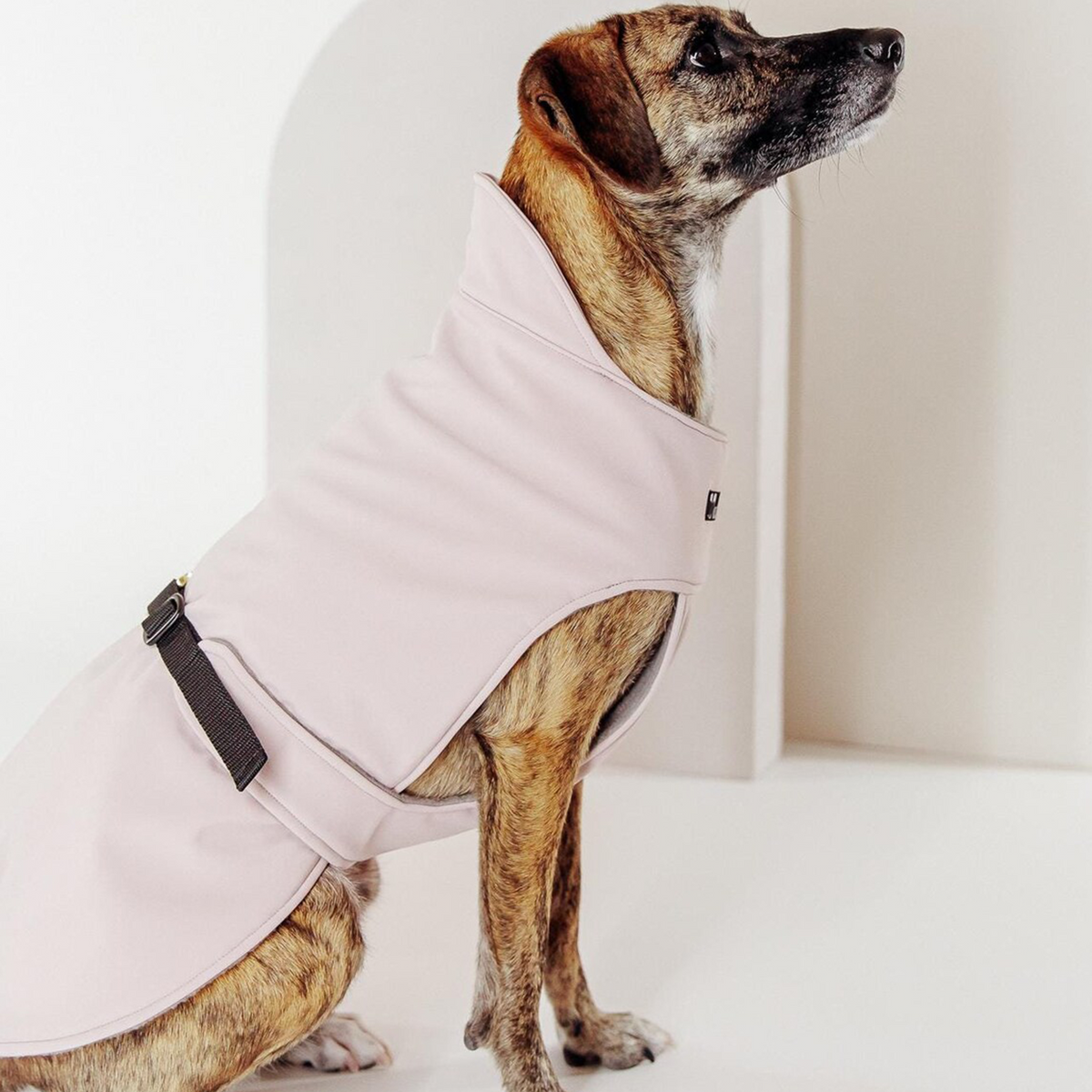 Hundemantel "Petrichor" Rosa