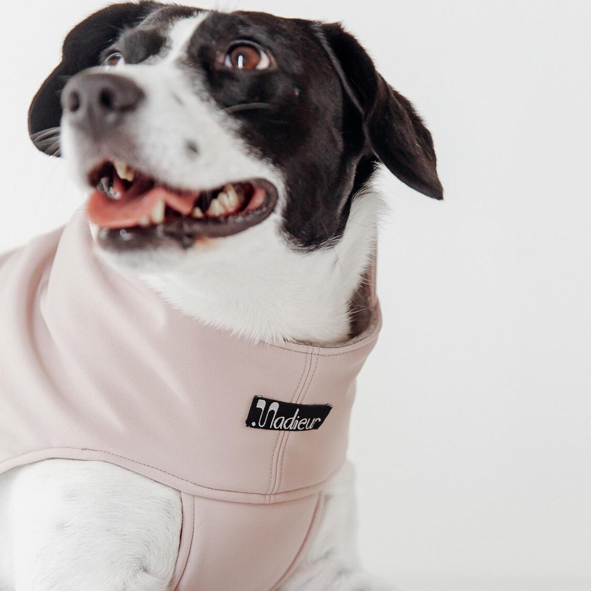 Hundemantel "Petrichor" Rosa