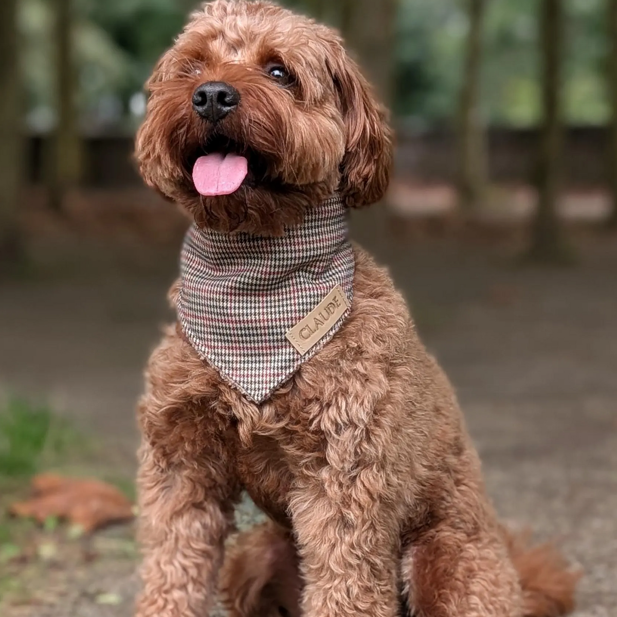Hundehalstuch "Piedlet"
