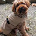 Hundemantel "Soul" Mousse