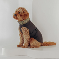 Hundemantel "Soul" Schwarz