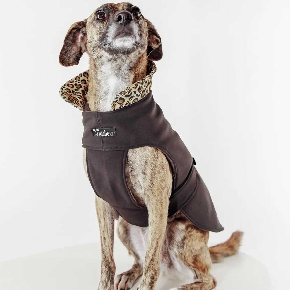 Hundemantel "Soul" Schwarz